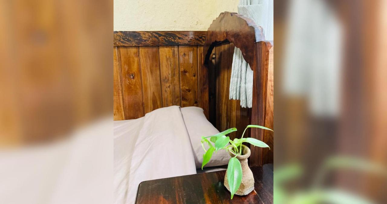 ペンションやいま日和 Hotel Ishigaki  Ngoại thất bức ảnh